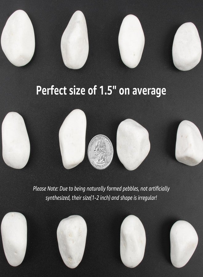 LOOIOOJ 10 أرطال من صخور النهر البيضاء، حصى مصقولة للنباتات والحدائق، أحجار زخرفية من 1 إلى 2 بوصة، مثالية لأحواض الأسماك والمزهريات والأعمال الحرفية وتنسيق الحدائق (الوزن: 10 أرطال، أبيض نقي) - Image 4